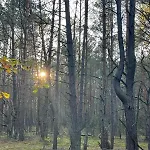 Glamping Idyllaglamp Loft
