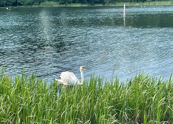Glamping Idyllaglamp Loft Dzbadzek