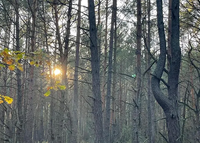 Glamping Idyllaglamp Loft